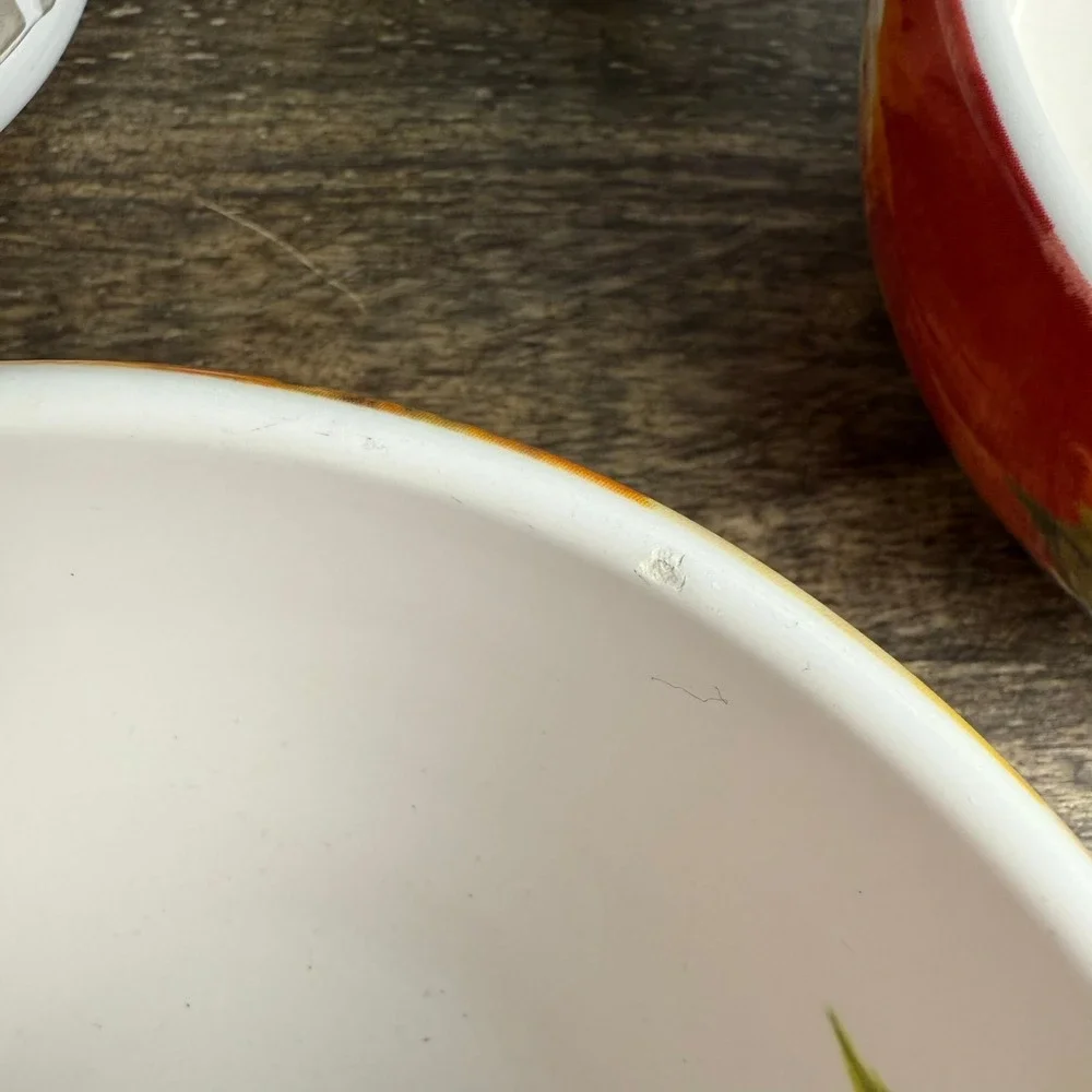 Pier 1 Amelia Floral Ironstone Bowls Set of 2 Colorful Cottage Kitchen 6